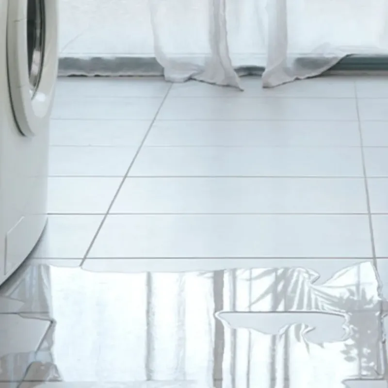 Appliance Leak Cleanup in Union County, MS