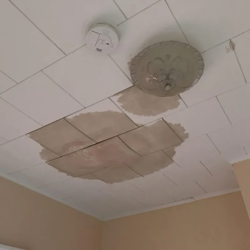 Ceiling Water Damage Repair in Union County, MS