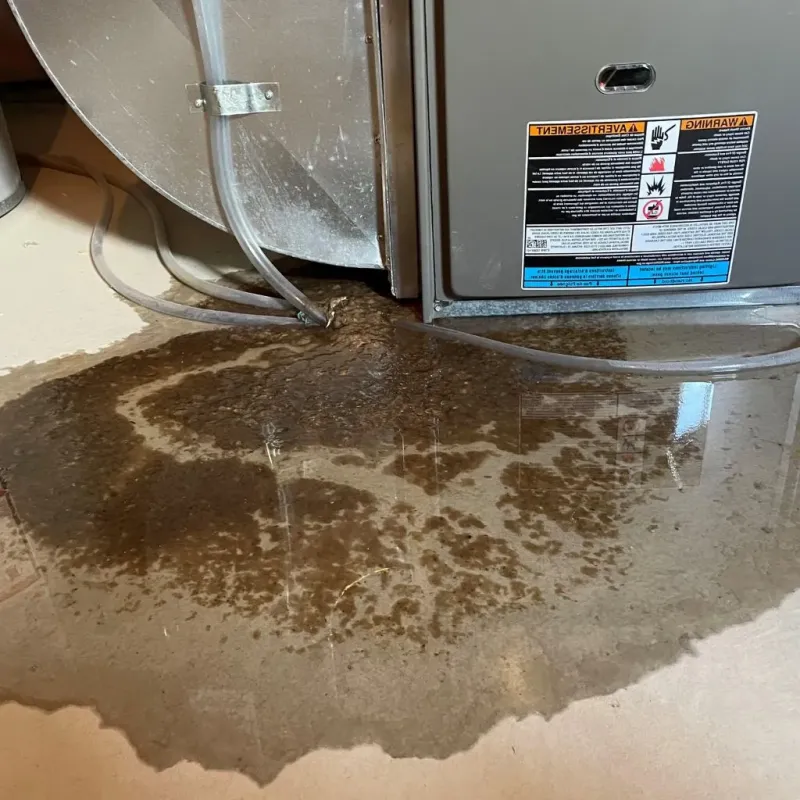Pipe Burst and Leak Restoration in Union County, MS