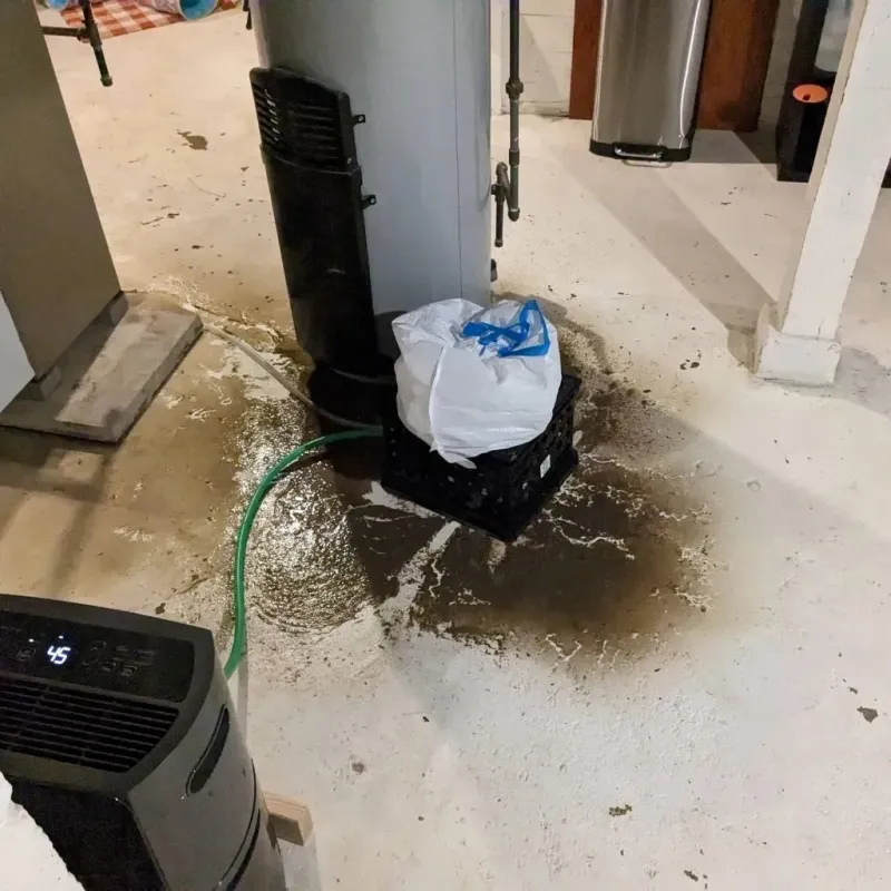 Sewage Backup Cleanup Service in Union County, MS